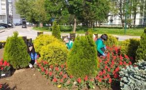 Sezona sadnje cvijeća: Uređuju se zelene površine u Novom Sarajevu 